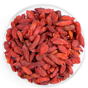 Preço de fábrica Berry Plantas Goji Berry Sementes